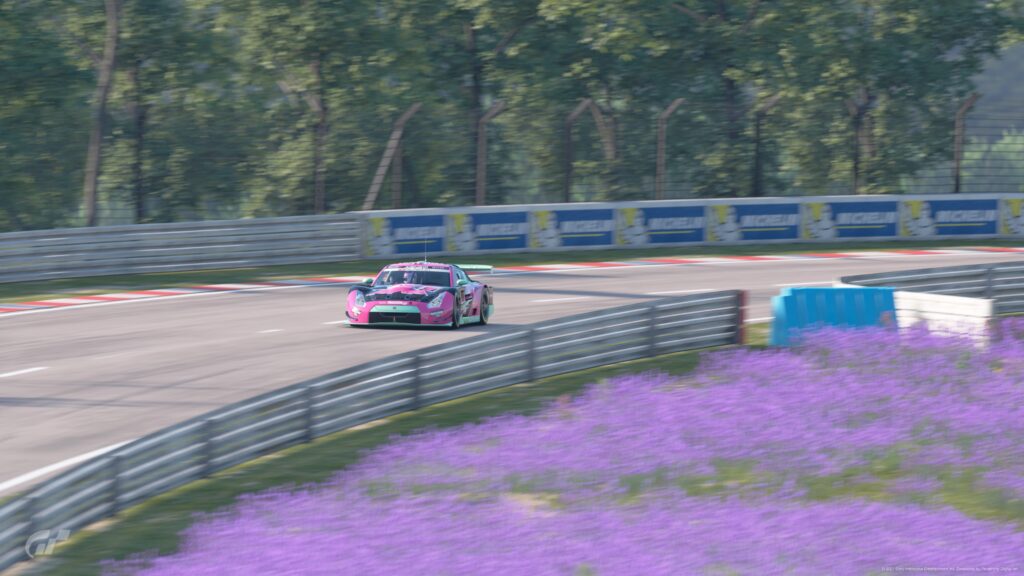 GT Sport Gran Turismo heather