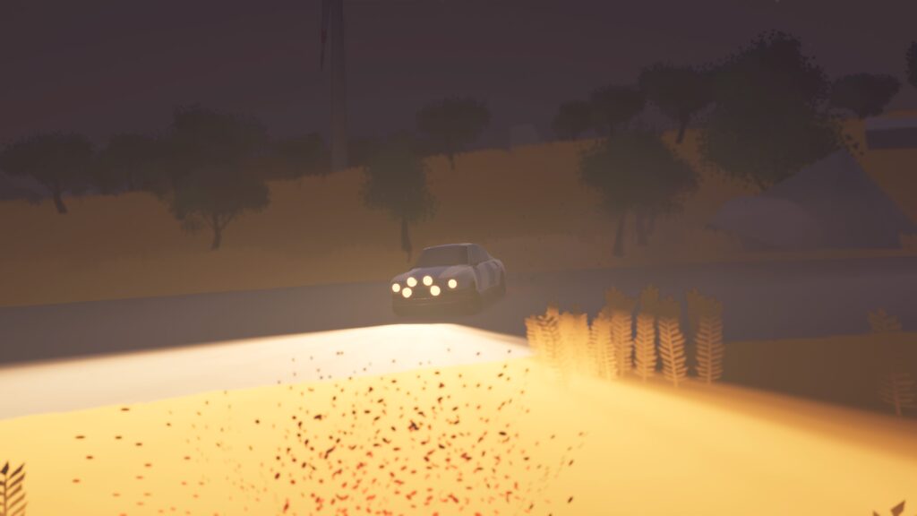 art of rally, Skoda at night